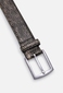 Ремень ZKM9961 TAUPE ANTIQUE SILVER 3.5CM Ремень ZKM9961 TAUPE ANTIQUE SILVER 3.5CM